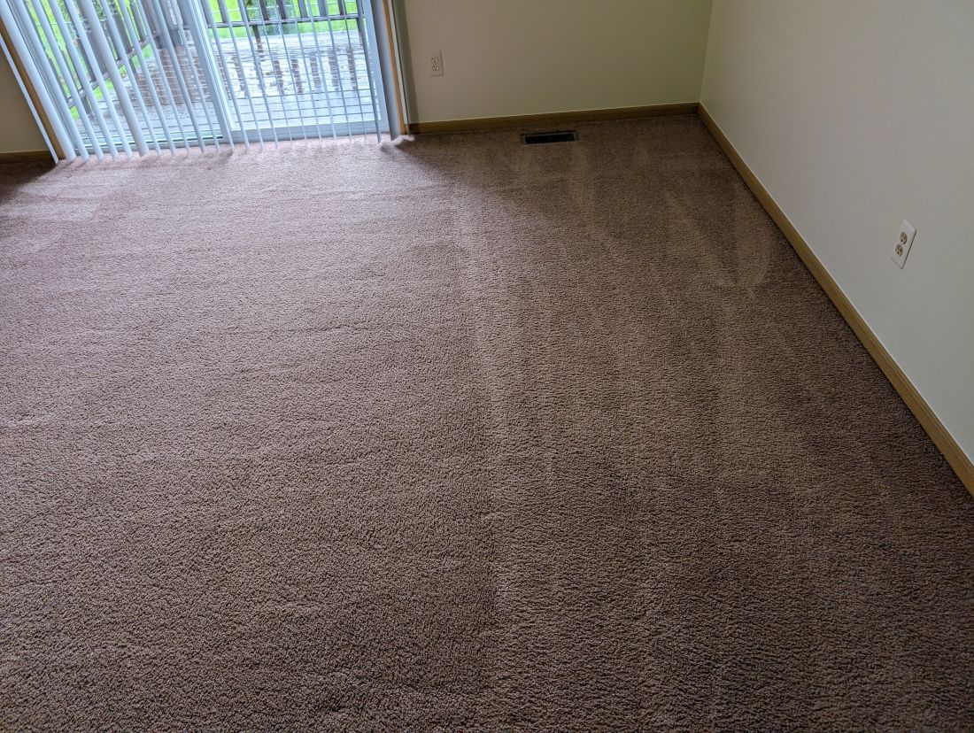 carpet cleaning